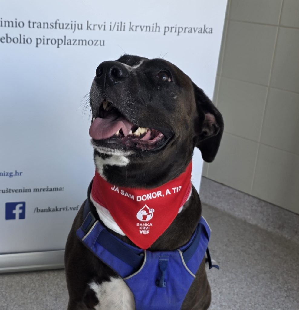 Vala